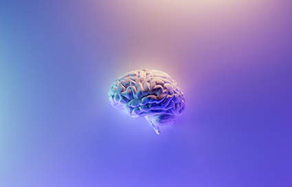 Vijf Gouden Regels Voor Effectieve Reclames Gebaseerd op Honderden Psychologie en Neuromarketing Onderzoeken